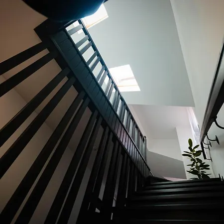 Paunasul Codrilor Hotel Campulung Moldovenesc