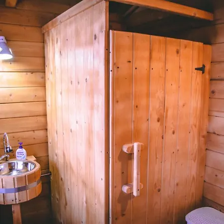 Hotel Paunasul Codrilor Campulung Moldovenesc